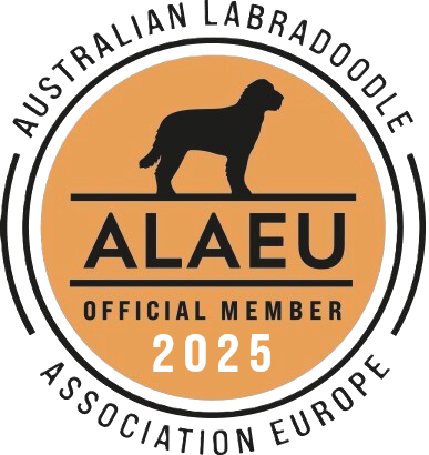 ALAEU logo Official Member 2025 transparant