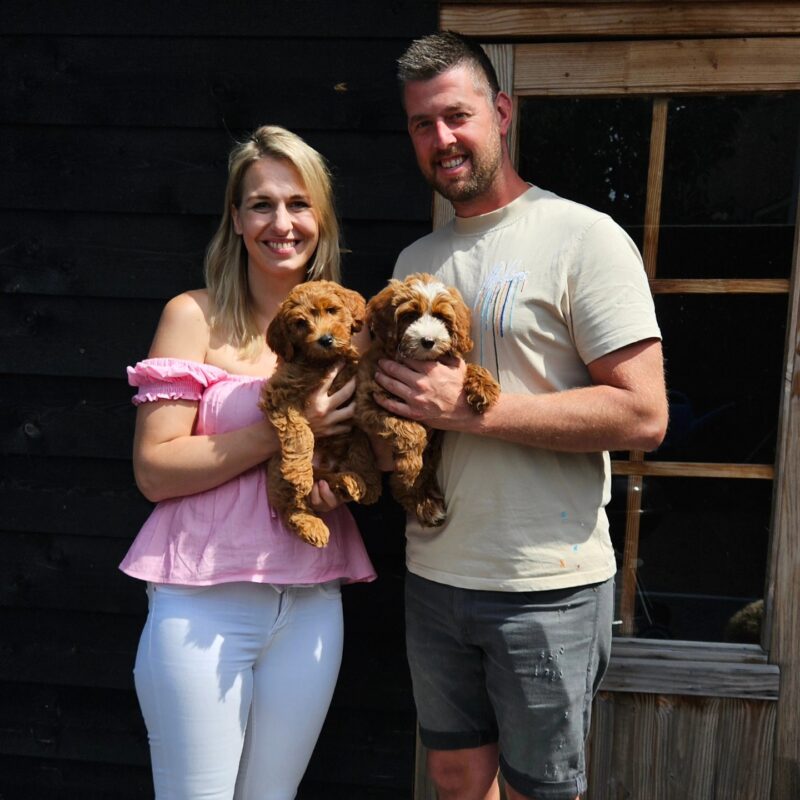 Soraya en Remco met hun Australian Labradoodle pups