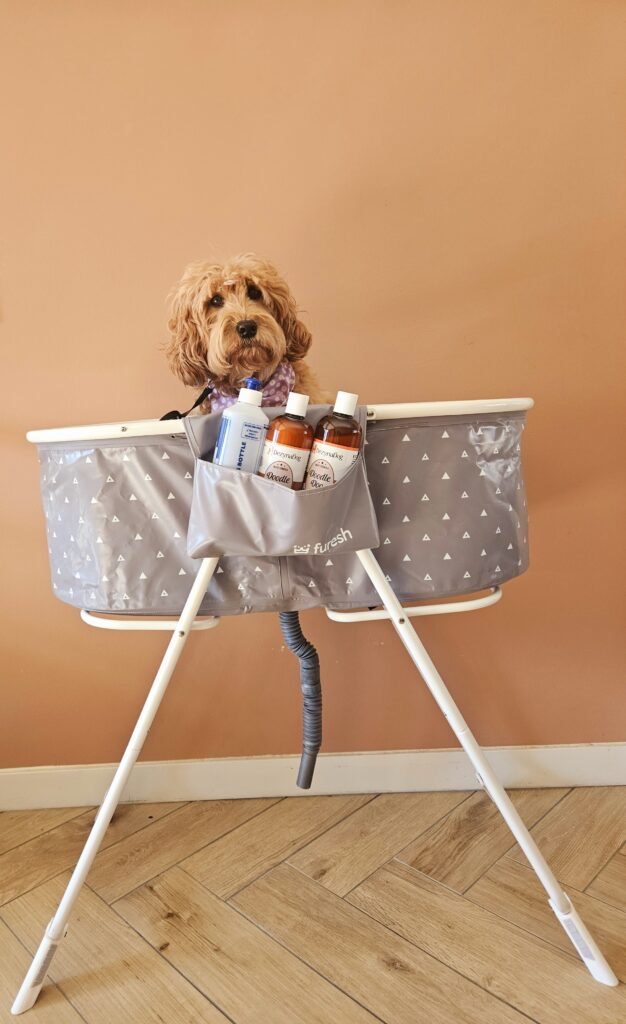 Hondenbad en waspakket voor de vachtverzorging van je Labradoodle thuis