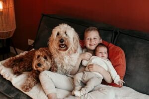 quinn en marley samen met onze australian labradoodles.jpg